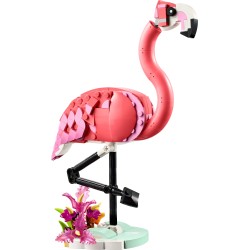 Fauna Salvaje: Flamenco Rosa