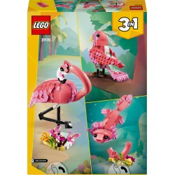 Fauna Salvaje: Flamenco Rosa