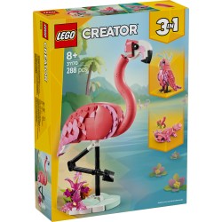 Animaux sauvages : le flamant rose