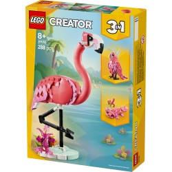 Animaux sauvages : le flamant rose