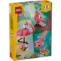 Animaux sauvages : le flamant rose