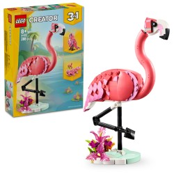 Animaux sauvages : le flamant rose
