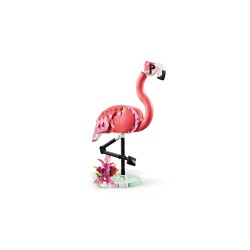 Fauna Salvaje: Flamenco Rosa