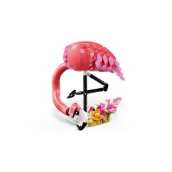 Fauna Salvaje: Flamenco Rosa