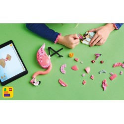 Wilde dieren: roze flamingo