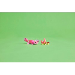 Animaux sauvages : le flamant rose
