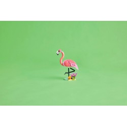 Animaux sauvages : le flamant rose