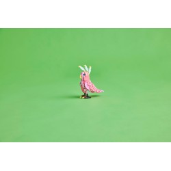 Animaux sauvages : le flamant rose