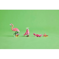 Animaux sauvages : le flamant rose