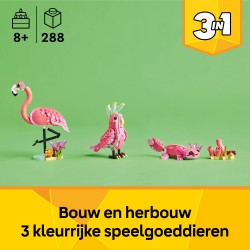 Animaux sauvages : le flamant rose