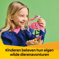 Wilde dieren: roze flamingo