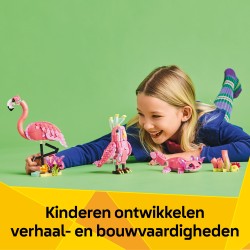 Wilde dieren: roze flamingo