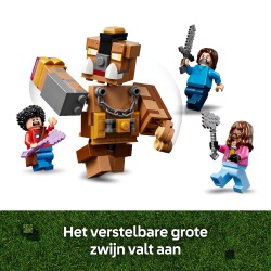 De arena bij het boslandhuis