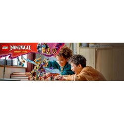 LEGO Ninjago 71836 Arco Dragone della Concentrazione